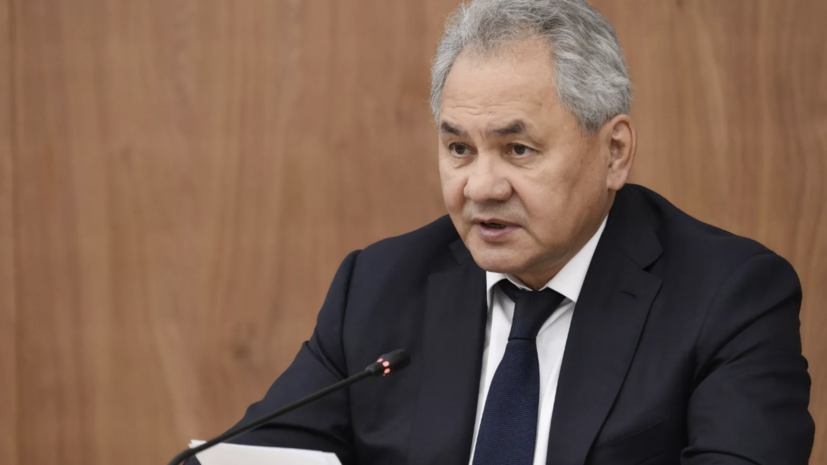 Шойгу назвал русский язык основой для противодействия идеологической экспансии