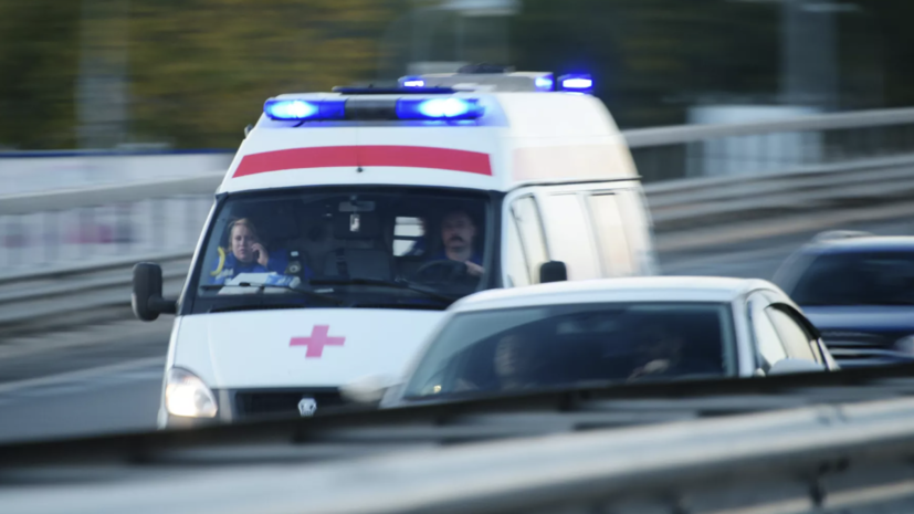 Хинштейн: два человека подорвались на мине в Кореневском районе Курской области