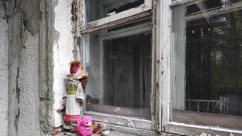 Юрист Хаминский рассказал о порядке изъятия заброшенного участка