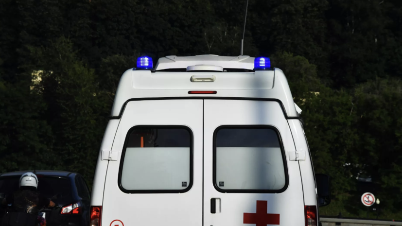 
                                РИА Новости
                            