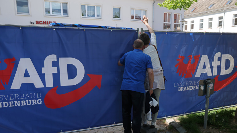 Insa: рейтинг «Альтернативы для Германии» упал до рекордных с марта 22,5%