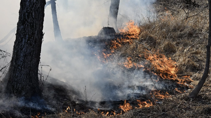 В Тверской области ввели особый противопожарный режим