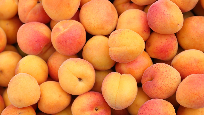 В Роскачестве назвали пятнышки на абрикосах признаком спелости
