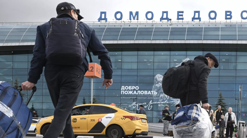 Каменщик обжаловал решение о передаче аэропорта Домодедово государству