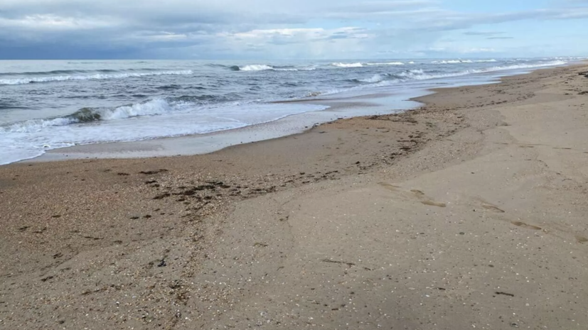 Чернышенко: выбросов мазута на побережье Анапы сейчас практически не наблюдается