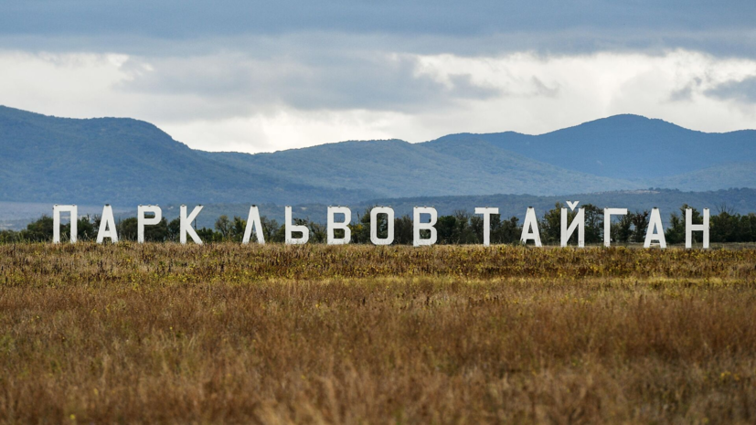 Парк «Тайган» в Крыму продолжает работу после нападения льва на директора