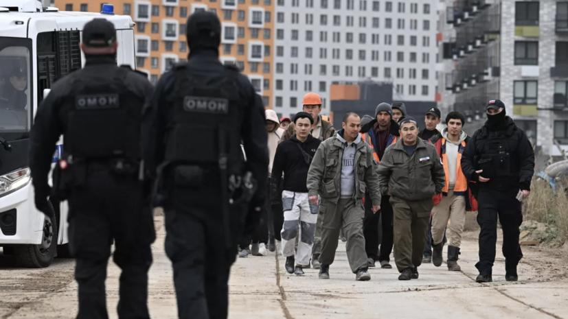 Володин: законы по борьбе с нелегальной миграцией заработали в России