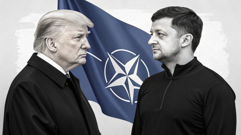 Дмитрук объяснил, почему Трамп не обсуждал с Зеленским украинский вопрос