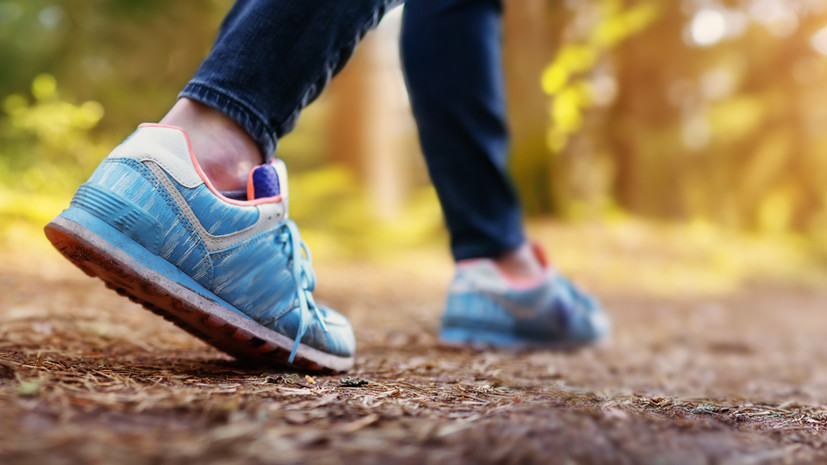 Экотропы Подмосковья включили в реестр лучших туристических маршрутов России