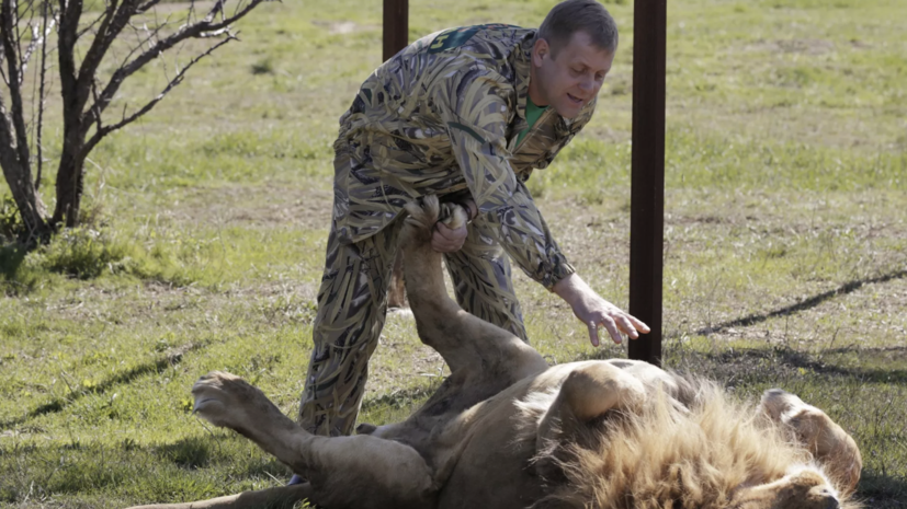 Владелец «Тайгана» Зубков написал письмо из больницы