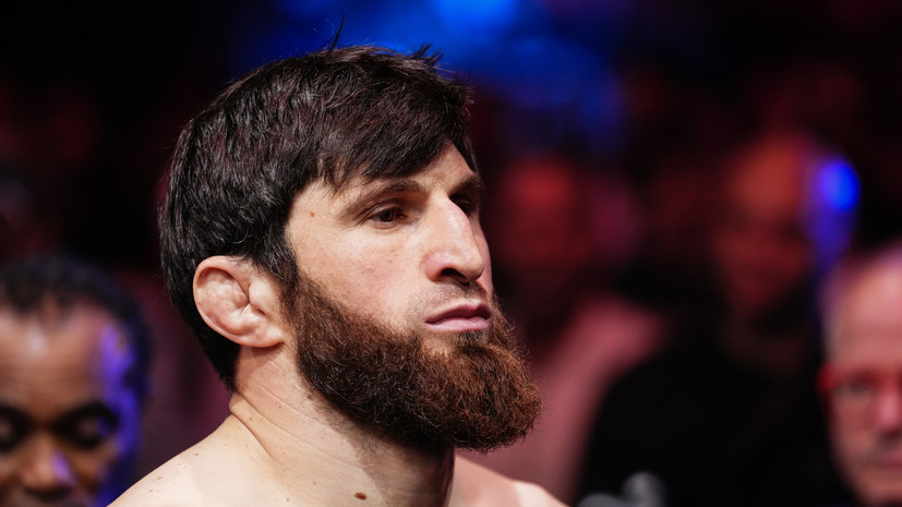 Аспинэлл: Анкалаева недостаточно уважают