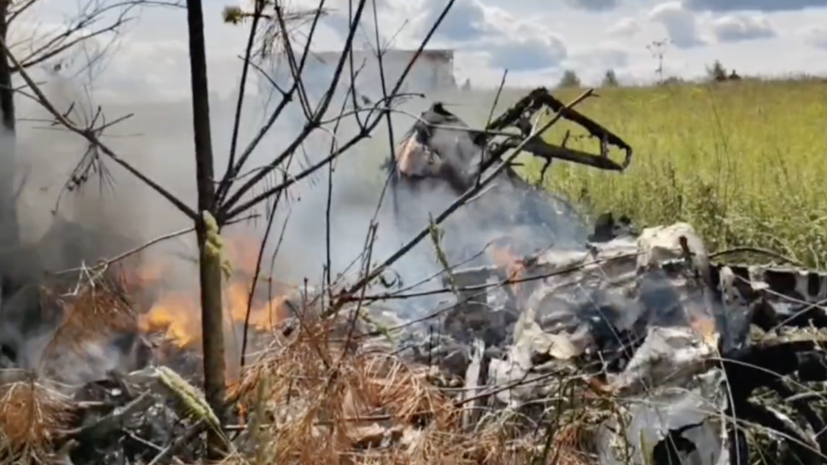 Дело возбудили после крушения легкомоторного самолёта в Подмосковье