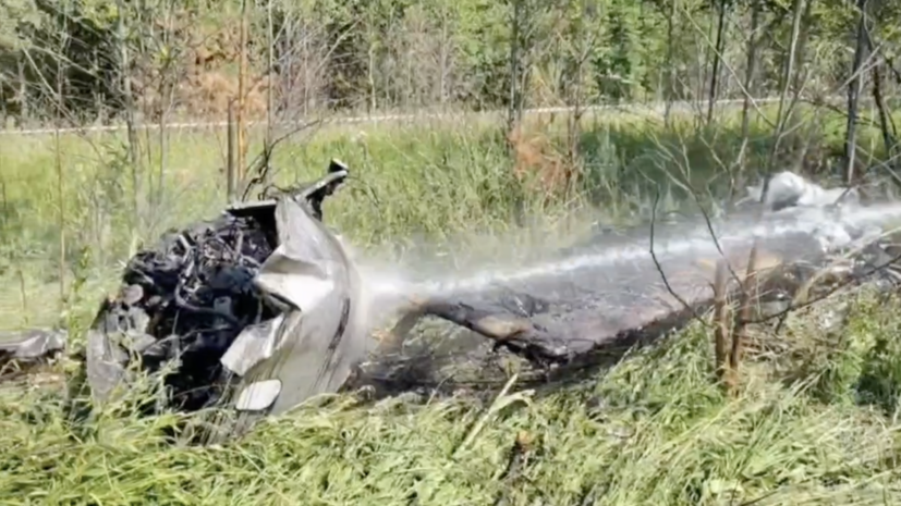 ТАСС: причиной крушения самолёта в Подмосковье стал отказ двигателя