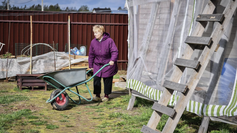 В Союзе дачников Подмосковья рассказали, как ухаживать за огородом в период холодов