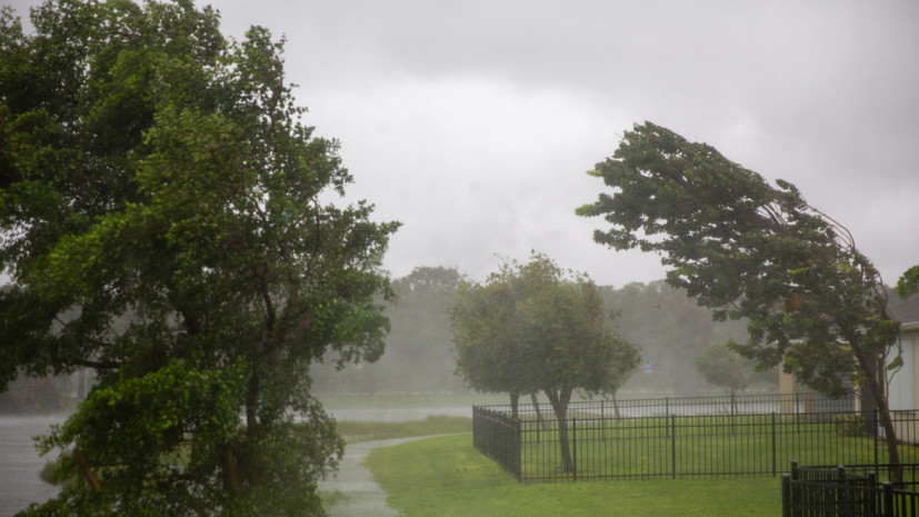 В Пермском крае предупредили об усилении ветра до 20 м/с 30 июня