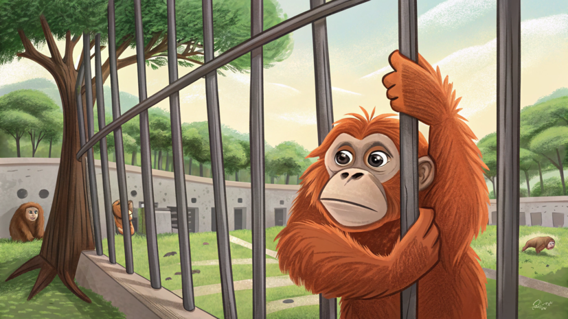 Юрист: девушка, давшая орангутану покурить вейп, нарвётся на «хейт зоозащитников»