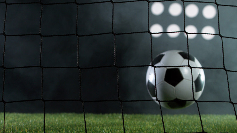 Журова призвала серьёзно наказать «Торпедо» в случае доказательства вины владельца