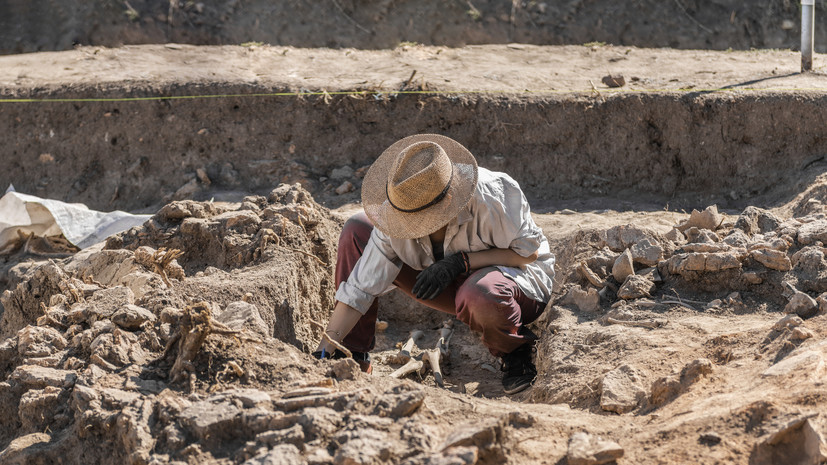 Древнее зернохранилище нашли крымские археологи