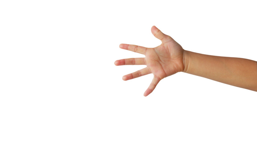 Руку мальчика засосало в ленту досмотра на Московском вокзале Санкт-Петербурга