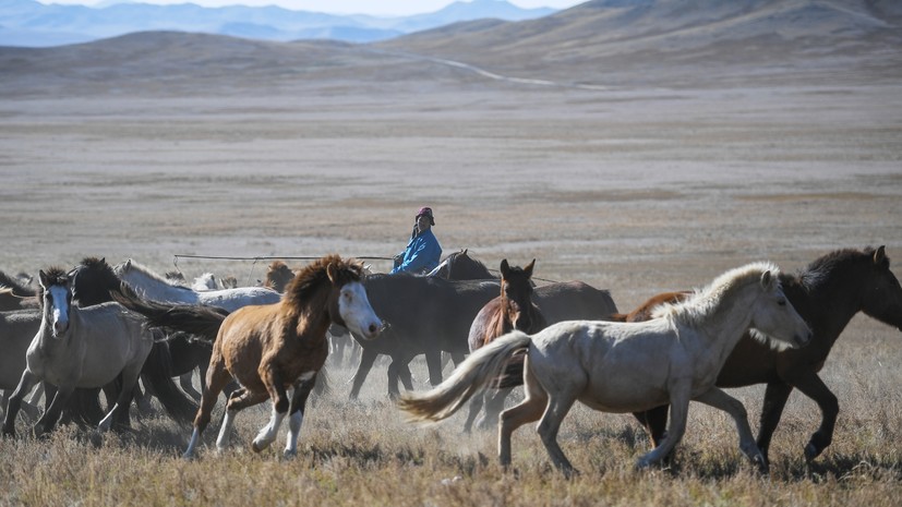 В Альянсе турагентств России рассказали об особенностях отдыха в Монголии