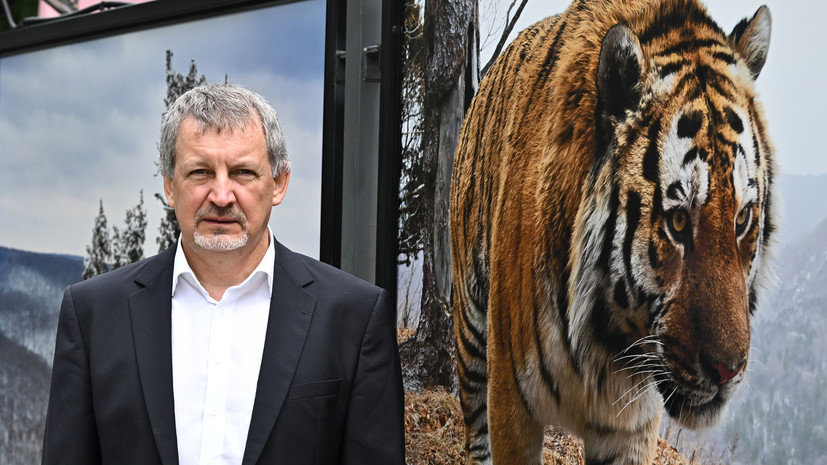 В Москве открылась фотовыставка Сергея Горшкова «Земля больших кошек»