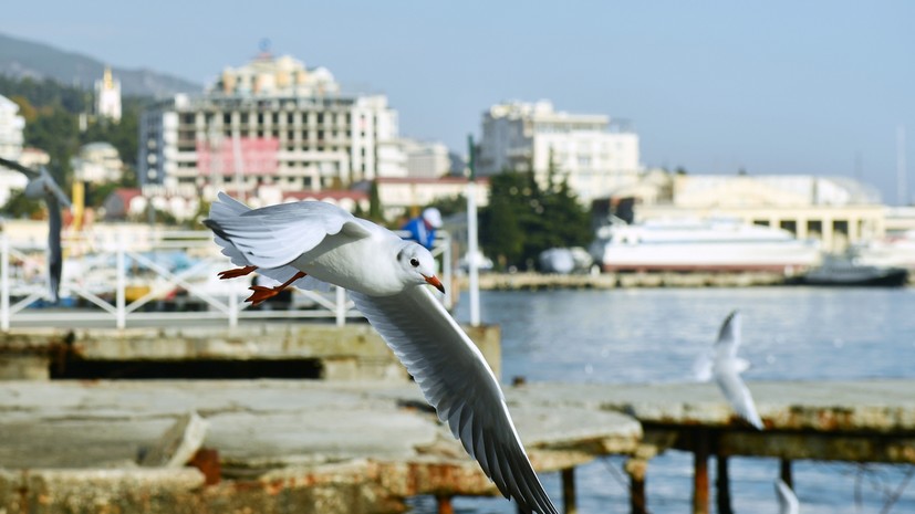 Ялту в 2025 году посетили более миллиона туристов