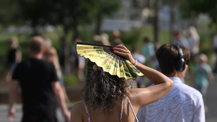 Синоптик Ильин спрогнозировал 35-градусную жару в южных регионах страны