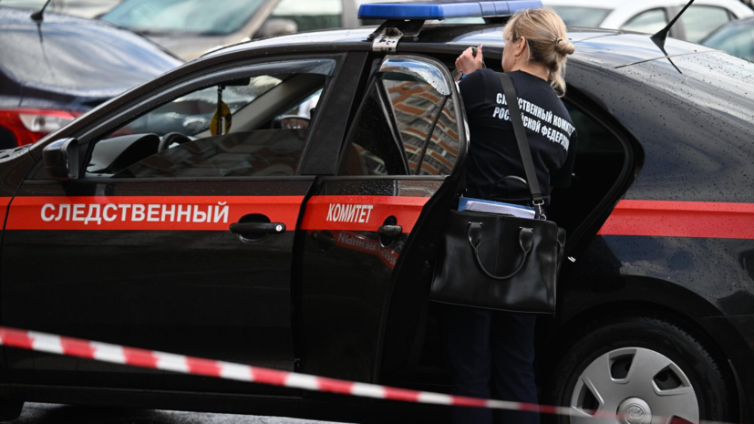 Экологический ущерб от компании «Южуралзолото» оценили в 6 млрд рублей