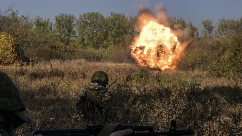 ТАСС: около Садков в Сумской области десантники ВСУ понесли колоссальные потери