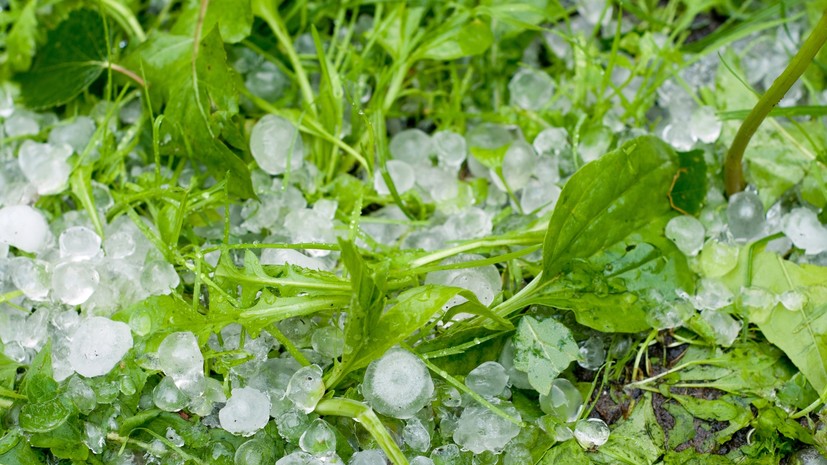 Синоптик Вильфанд допустил возможность града в Москве 8 июля