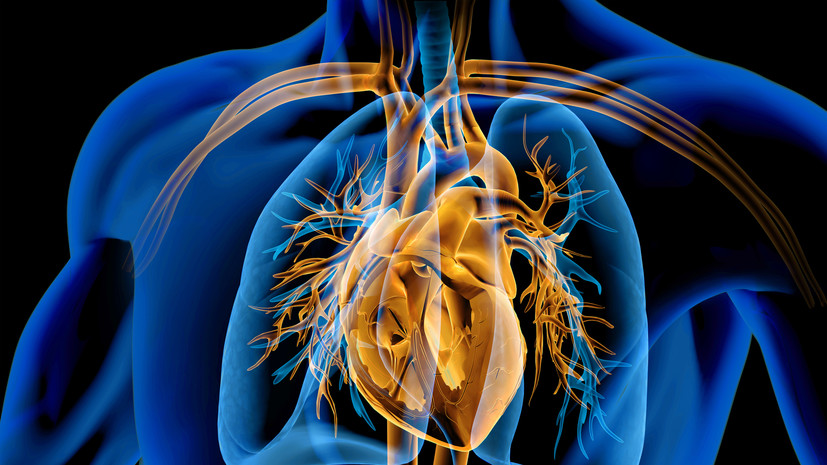 Кардиолог Ким: высокие температуры влияют на здоровье сердца