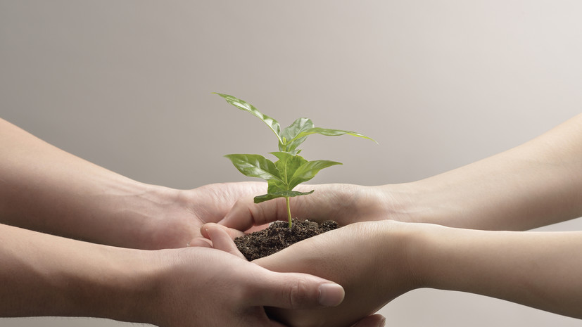 Объявлены итоги премии Росприроднадзора «Экология — дело каждого»