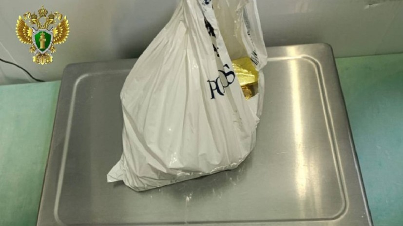 В Забайкальском крае возбудили дело из-за чемодана с 11 слитками золота