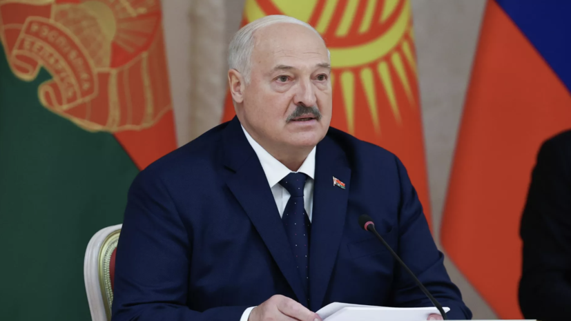 Лукашенко потребовал к 1 сентября убрать брошенные в лесах брёвна