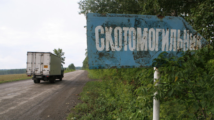 Купание рядом с сибирской язвой: опасны ли скотомогильники у Волги