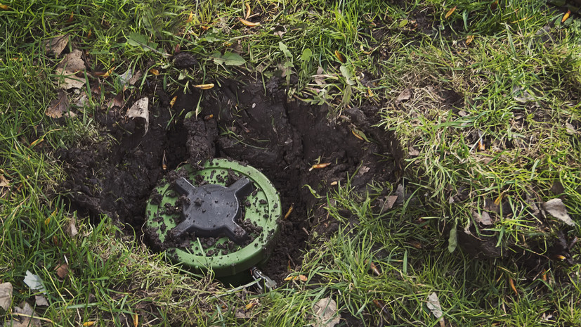 Захарова: Украина не выполняла обязательств по конвенции о противопехотных минах
