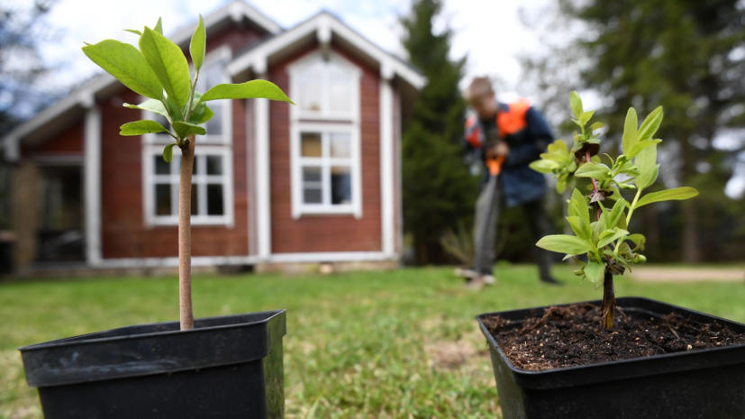 Врач Карпенко: из-за дачных работ в жару может случиться гипертонический криз