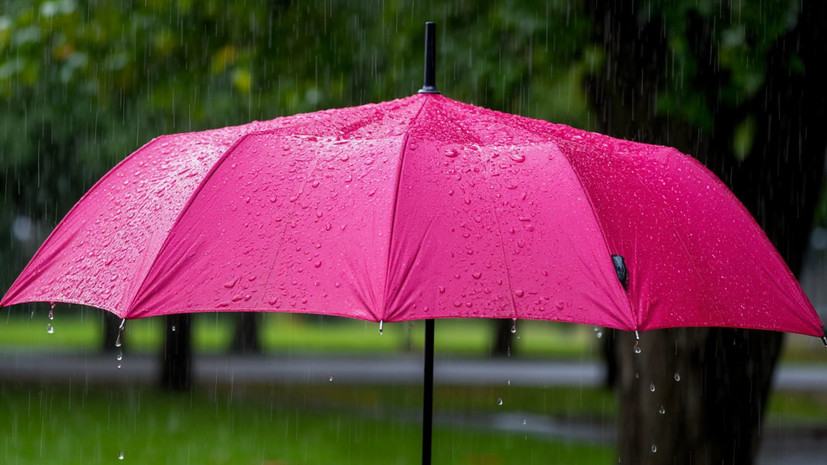 Синоптик Леус спрогнозировал в Москве кратковременные дожди