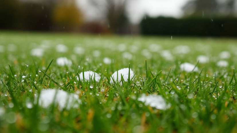 Синоптик Шувалов: в Москве вновь возможны дожди с градом на этой неделе