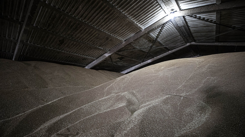 FT: американские инвесторы готовят перезапуск зернового терминала в Одессе