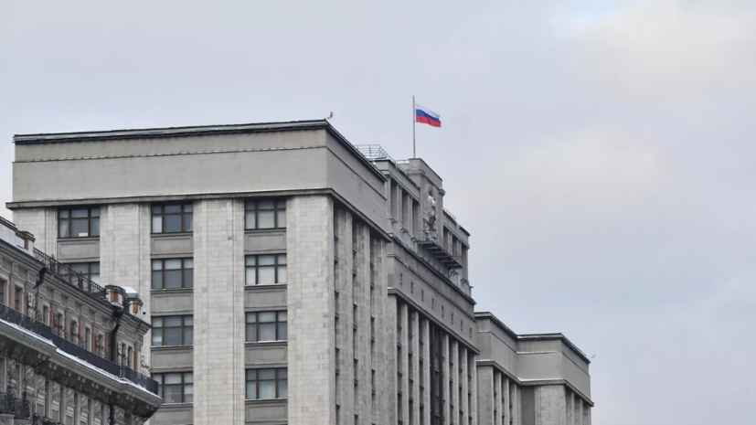 В Госдуме прокомментировали поправки в законопроект о платформенной экономике