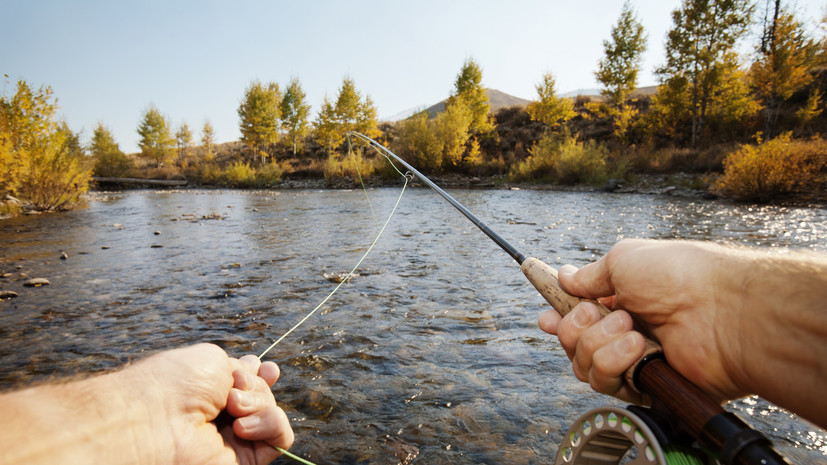 Кардиолог Малай: сидение часами с удочкой грозит «рыбацким варикозом»