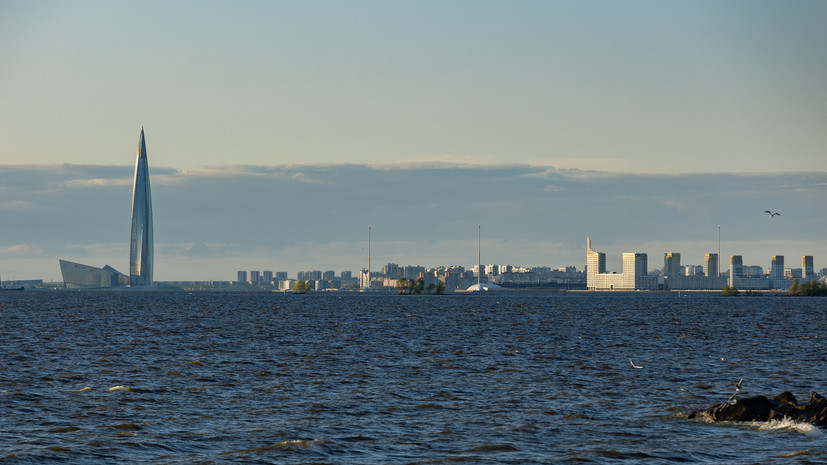 Власти Ленобласти: меры по защите акватории Финского залива скорректируют