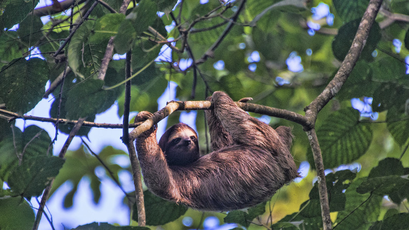 Психолог Сальникова: лениться необходимо, чтобы не впасть в депрессию