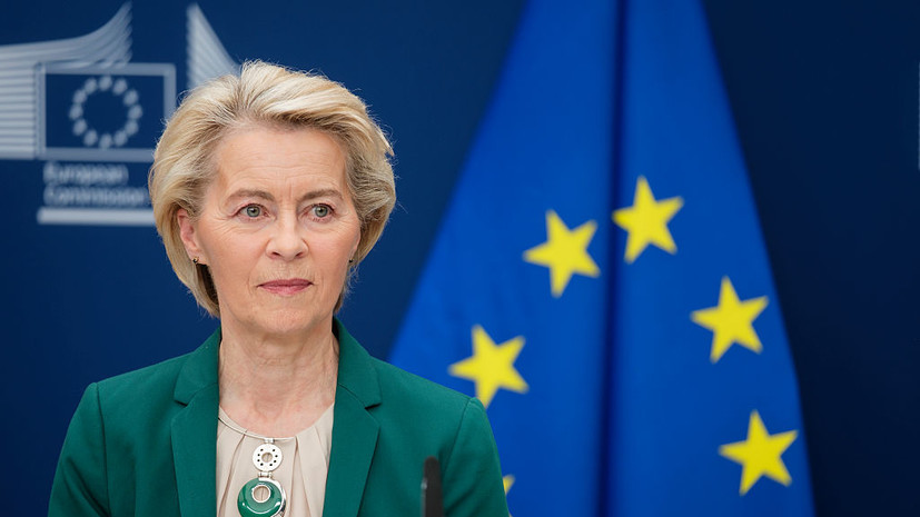 Правозащитник Петерсен назвала ситуацию с фон дер Ляйен признаком раскола Европы