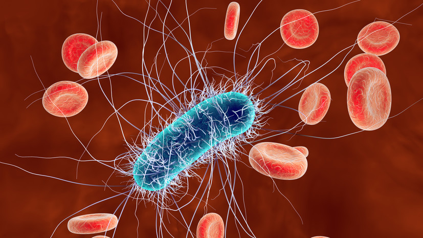 Врач дала советы по восстановлению после пищевого отравления
