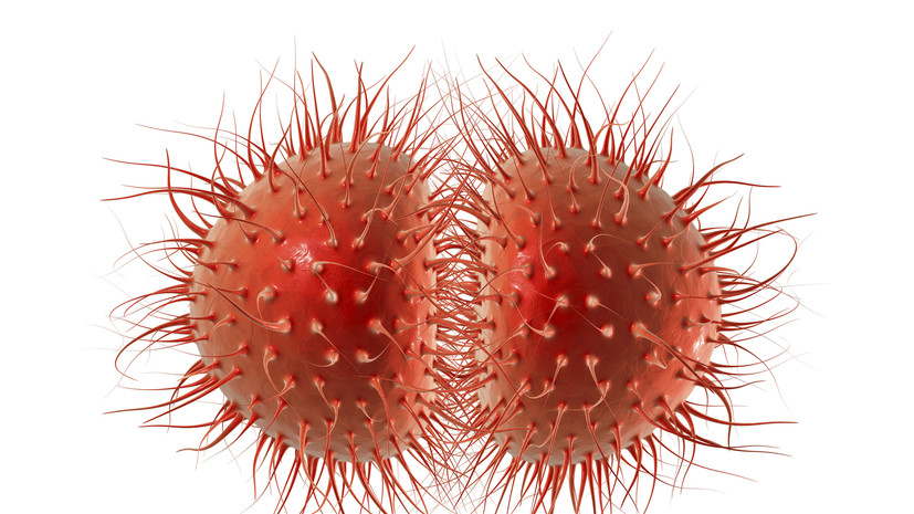 Терапевт Чернышова: человеку сложно самому отличить менингит от простуды