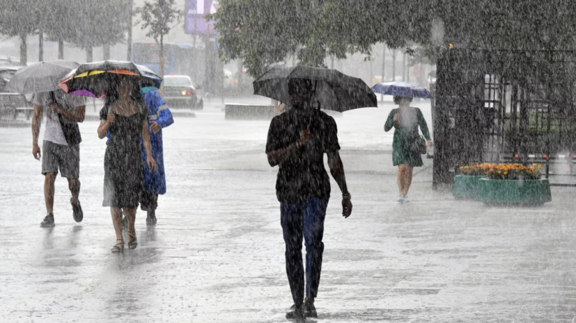 Синоптик Ильин: в субботу в Москве будет вновь много дождя и мало солнца