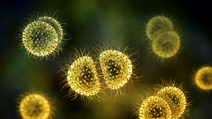 Гериатр Павлова: при менингите пациент не может прижать подбородок к груди