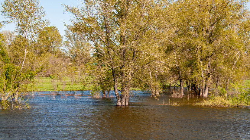 Метеоролог назвал паводки в Якутии и Забайкалье нетипичными для этих регионов